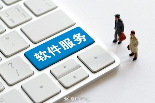 软件开发板块震荡走强，上海IT运维外包迎发展新机遇